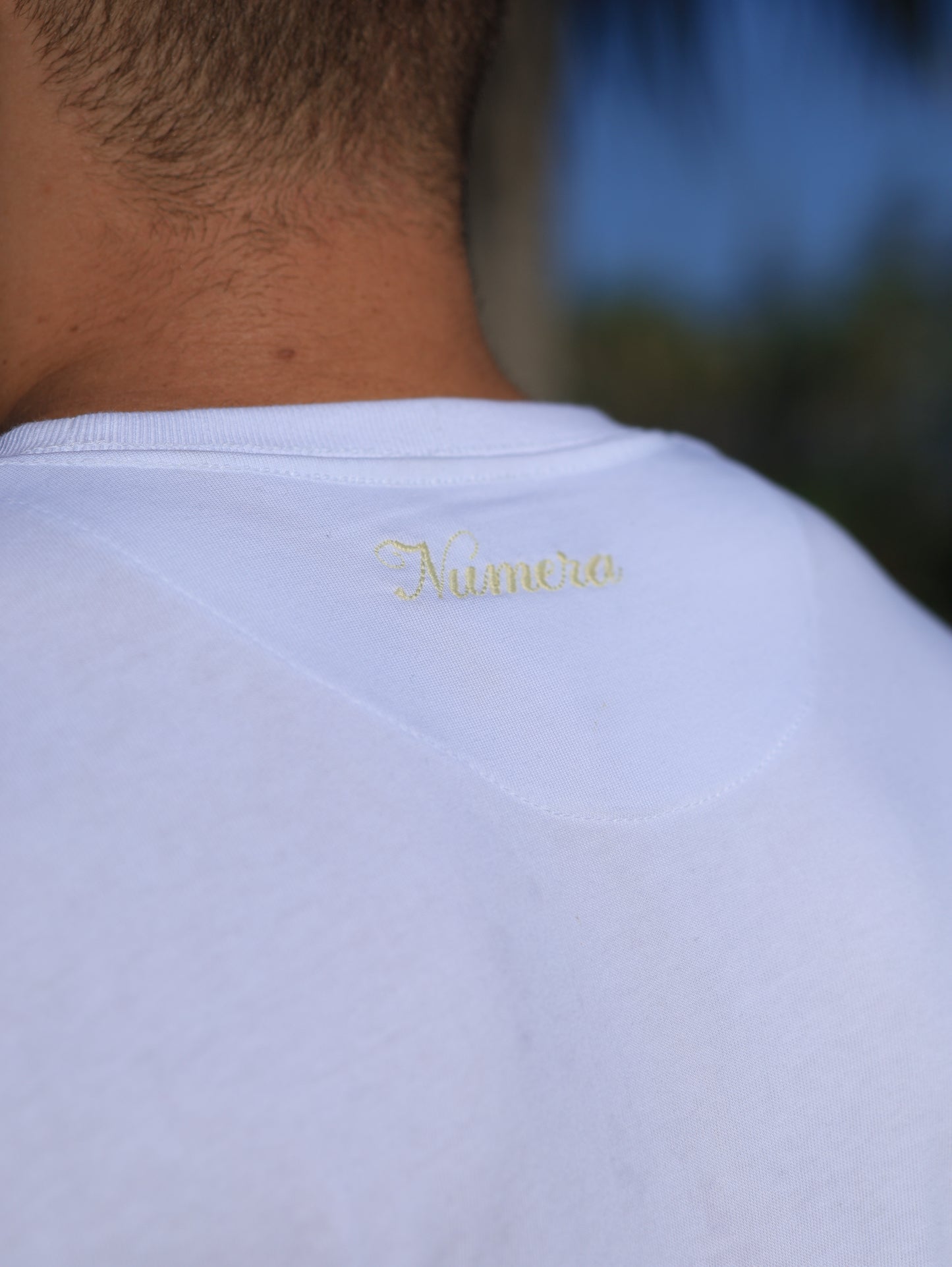 WHITE REGULAR FIT T-SHIRT